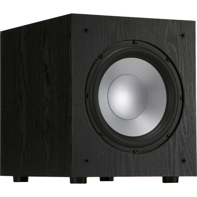 300 WATT 10&quot; SUBWOOFER - BLACK