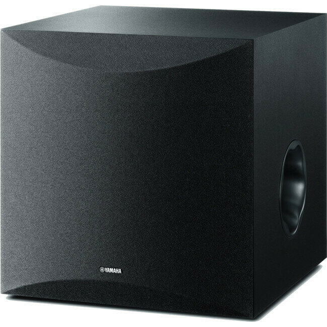 10&quot; 100W SUBWOOFER [BLACK]