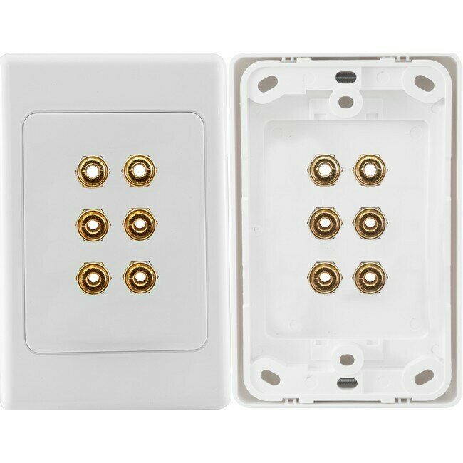6 TERMINAL SPEAKER WALL PLATE
