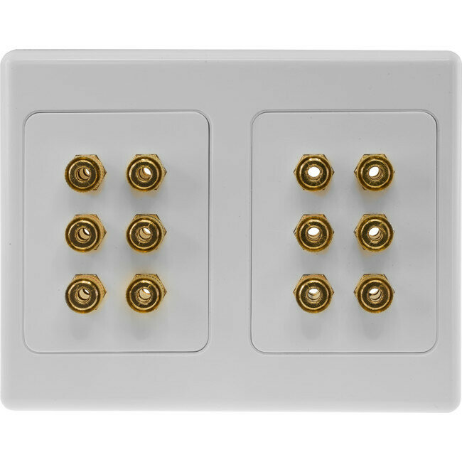 12 TERMINAL SPEAKER WALL PLATE