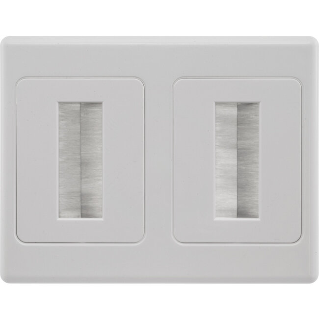 DUAL BRUSH WALL PLATE
