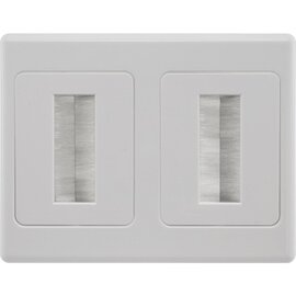 DUAL BRUSH WALL PLATE