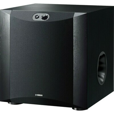 10&quot; 250W ACTIVE SUBWOOFER