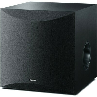 10&quot; 100W SUBWOOFER [BLACK]