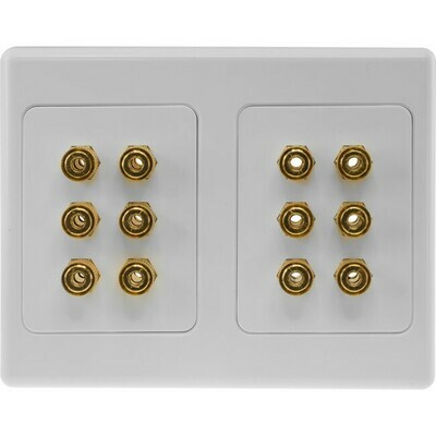 12 TERMINAL SPEAKER WALL PLATE