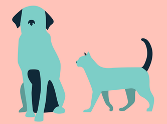 Hug Your Pet