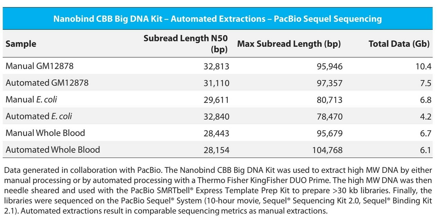 Nanobind KF CBB Big DNA Kit 24