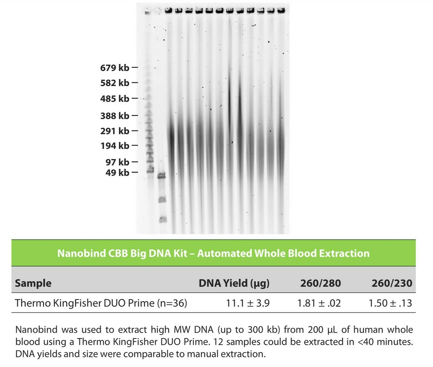 Nanobind KF CBB Big DNA Kit 24