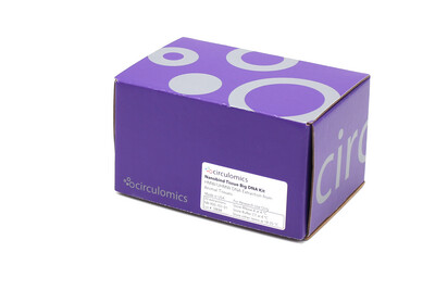 Nanobind Tissue Big DNA Kit Nanobind Tissue Big DNA Kit