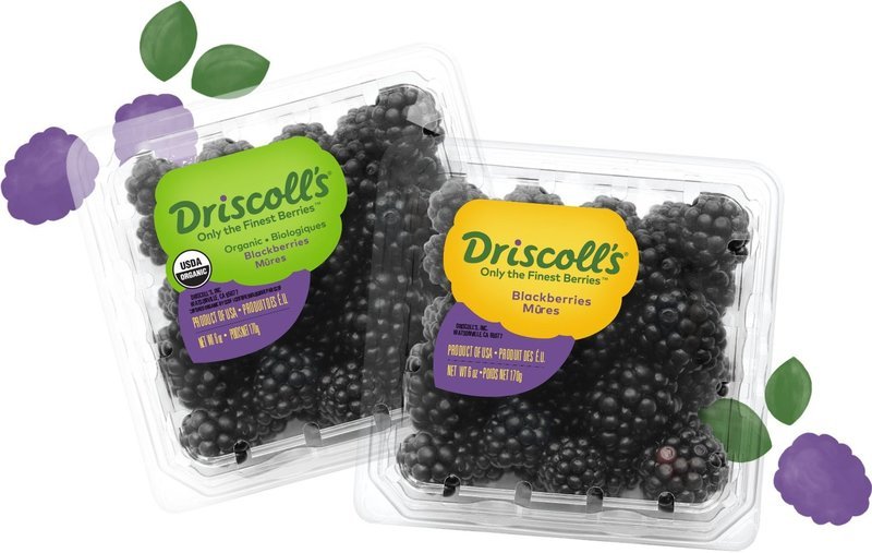 Blackberries