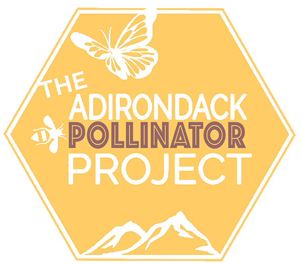 Adirondack Pollinator Project Plant Sale