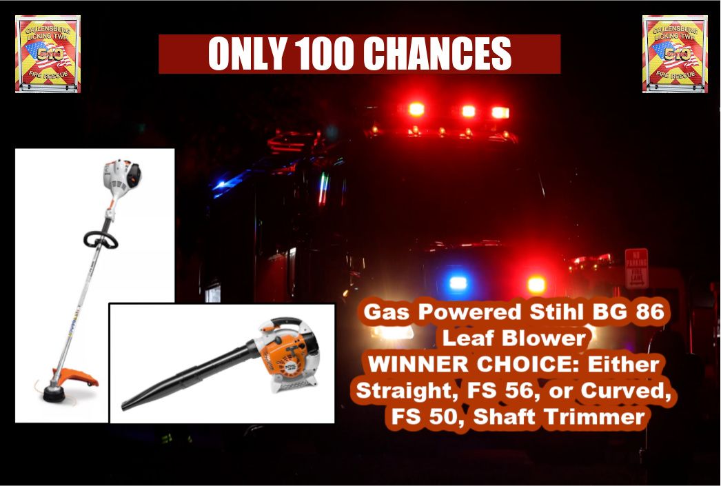 Gas Powered Stihl BG 86 Leaf Blower  WINNER CHOICE: Either Straight, FS 56, or Curved, FS 50, Shaft Trimmer