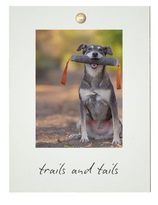 TRAILS &amp; TAILS