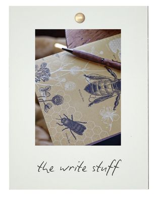 THE WRITE STUFF