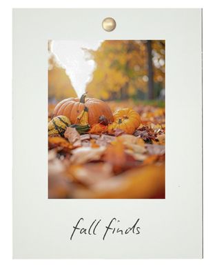FALL FINDS