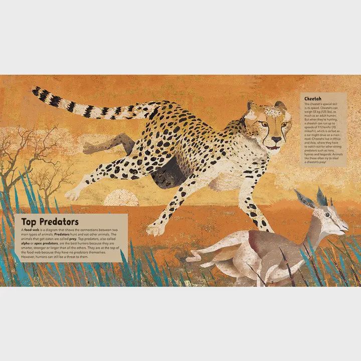 Barefoot Books Incredible Animals Book