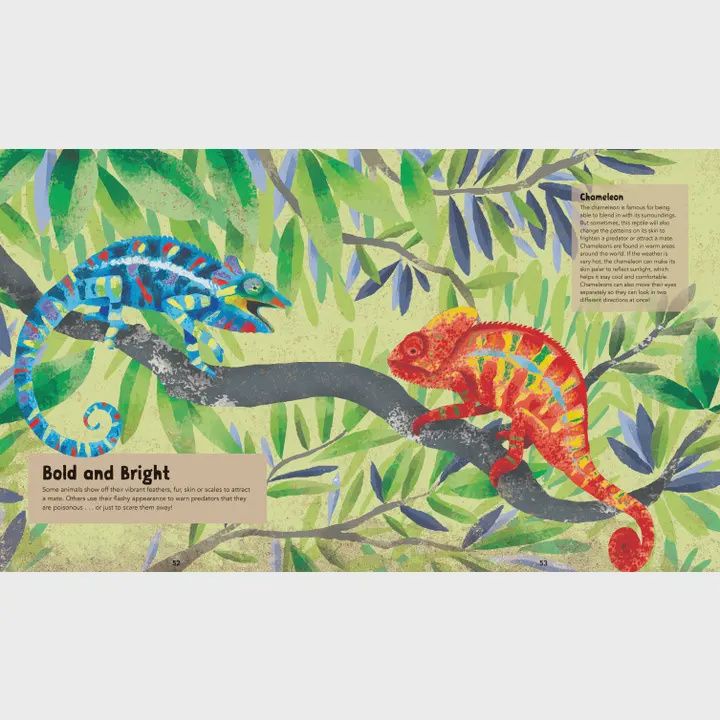 Barefoot Books Incredible Animals Book
