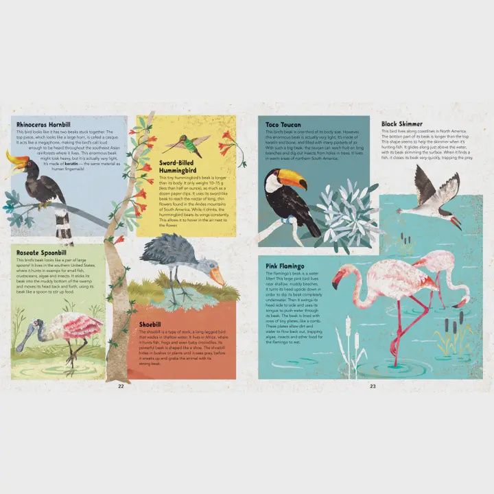Barefoot Books Incredible Animals Book