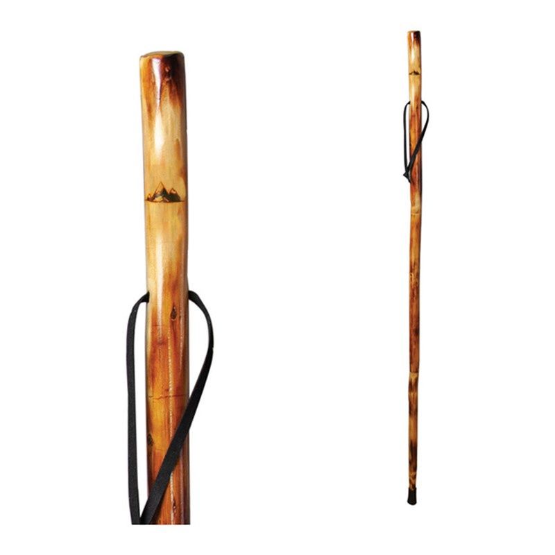 Take a Hike Walking Stick-Mountain Range