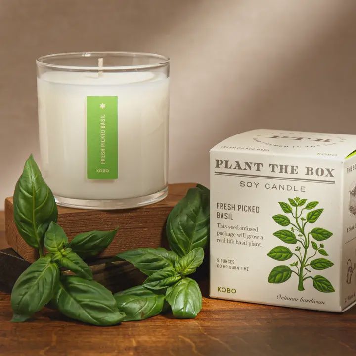 Fresh Pickled Basil Plant The Box Candle 9oz
