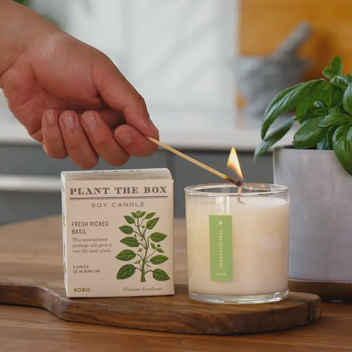 Fresh Pickled Basil Plant The Box Candle 9oz