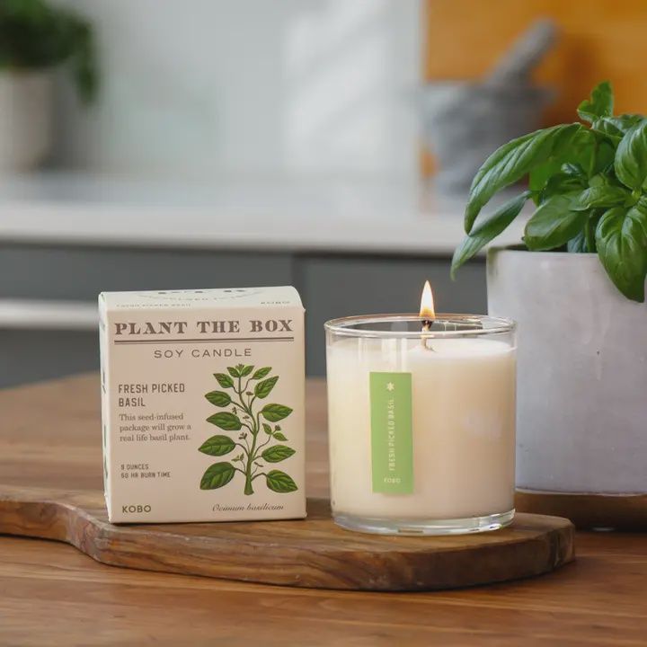 Fresh Pickled Basil Plant The Box Candle 9oz
