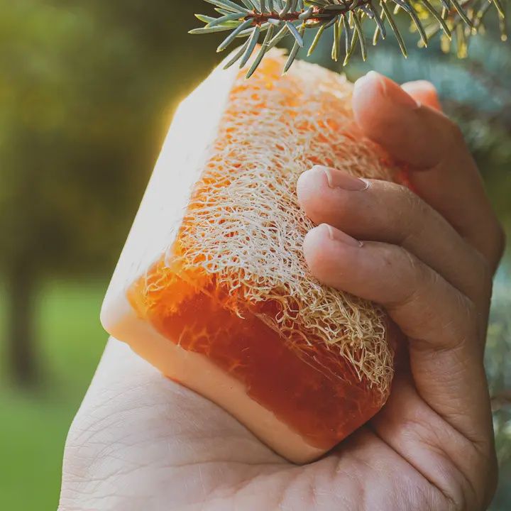 Scented Loofah Soap