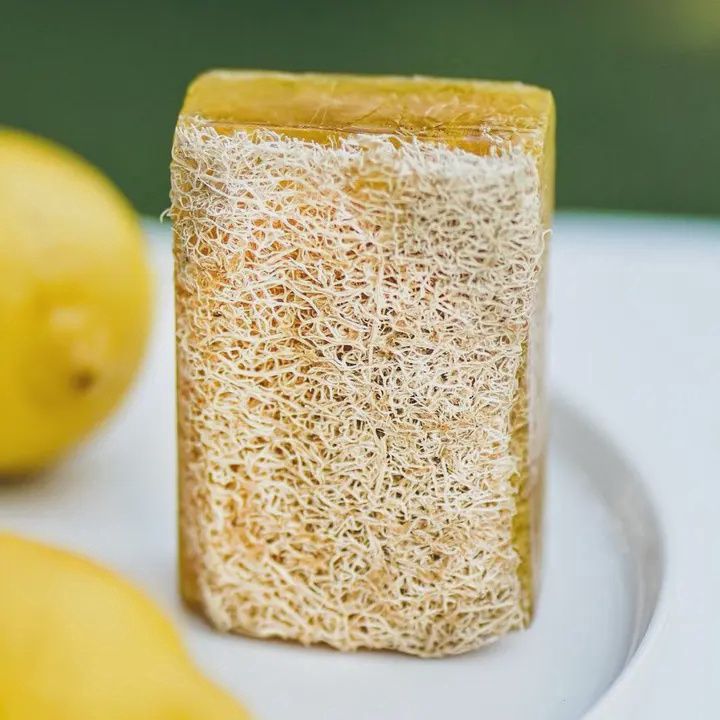 Scented Loofah Soap