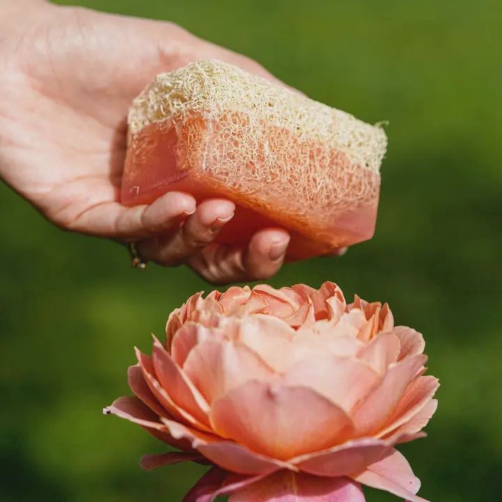 Scented Loofah Soap