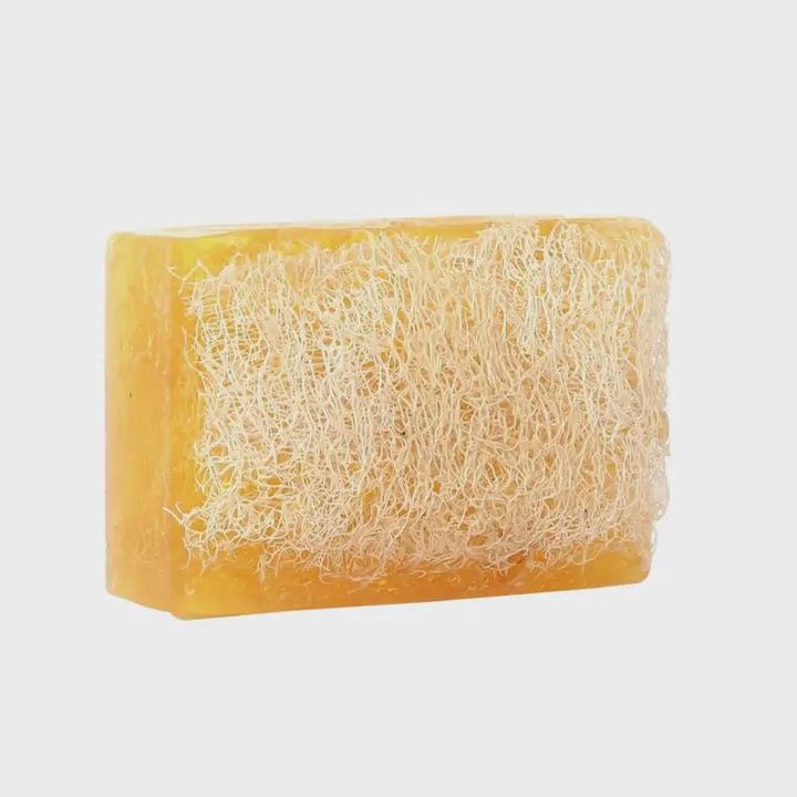 Scented Loofah Soap
