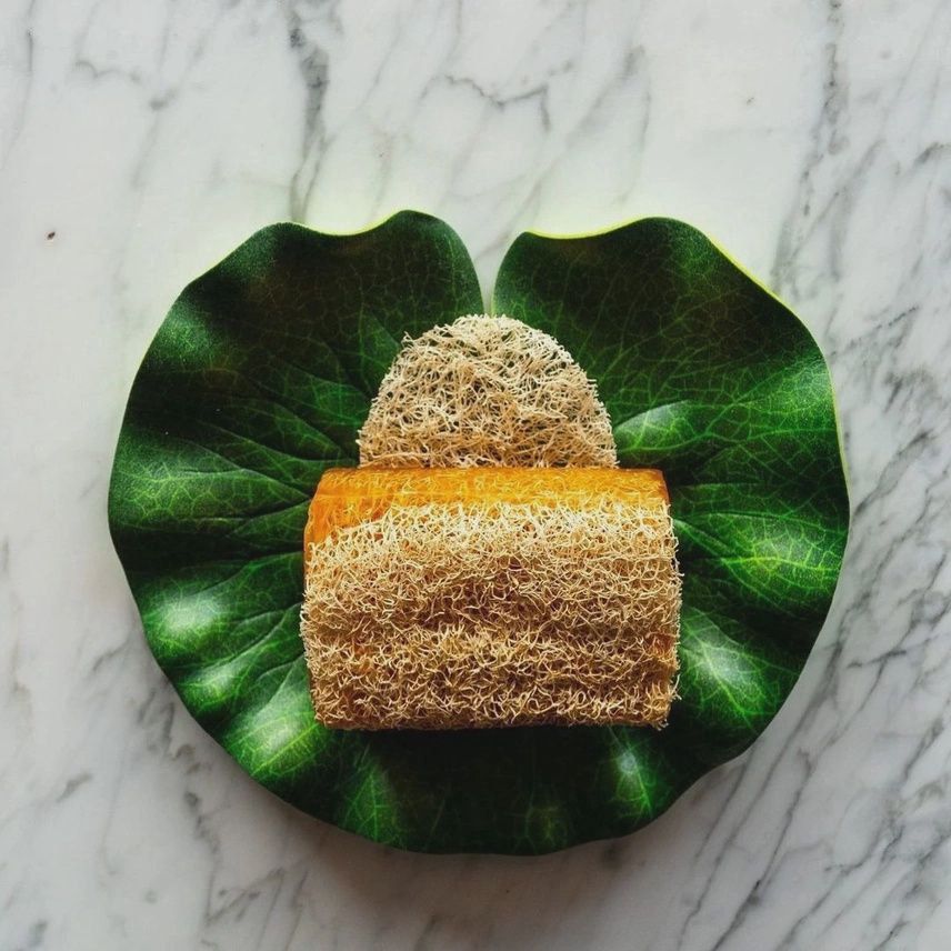 Scented Loofah Soap