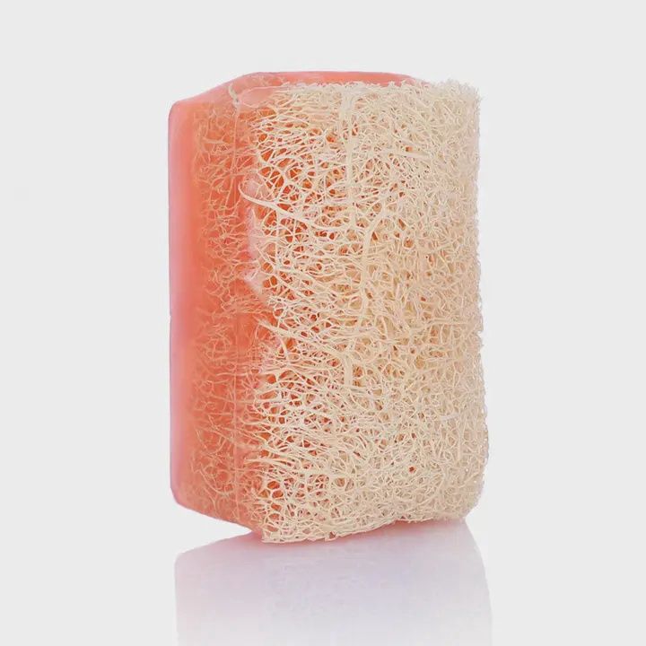 Scented Loofah Soap