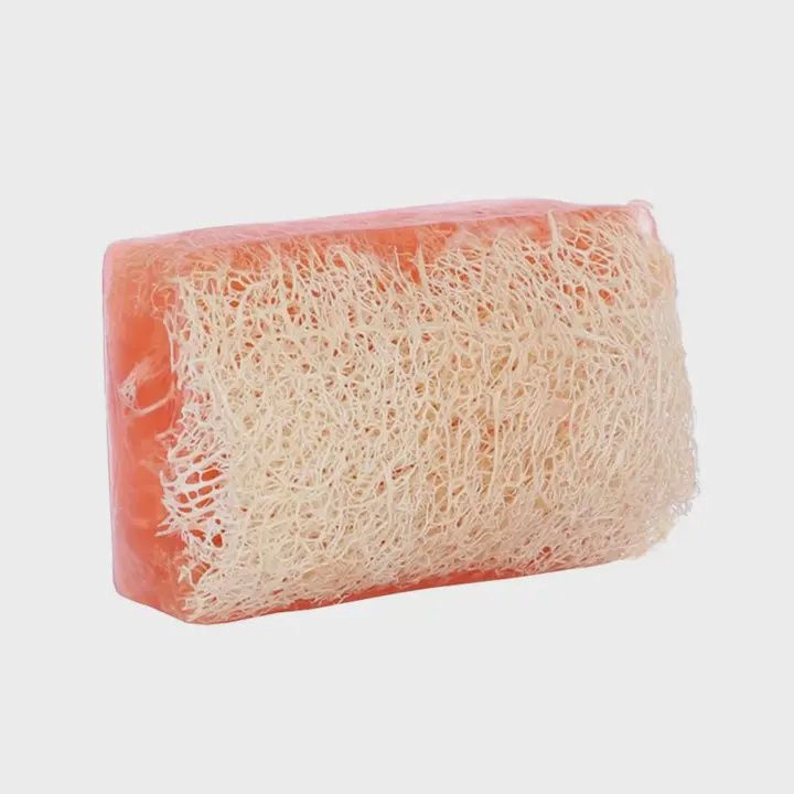 Scented Loofah Soap