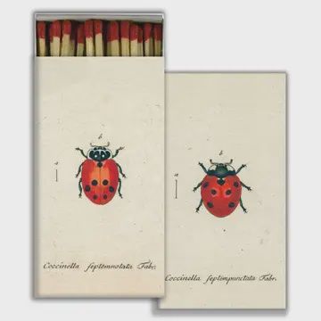 HomArt Matches