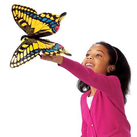 Swallowtail Butterfly