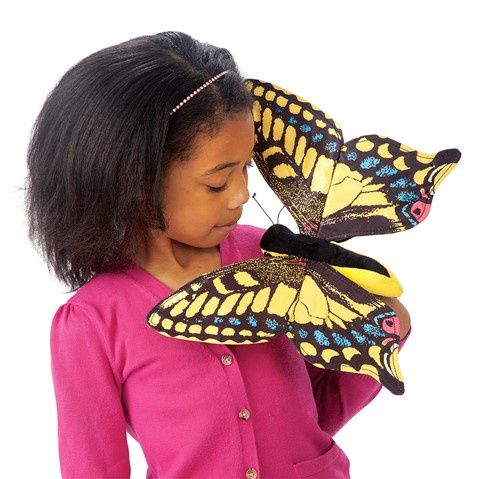 Swallowtail Butterfly