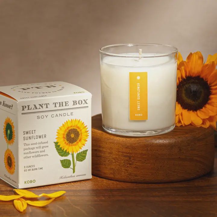 Sweet Sunflower Plant The Box Candle 9oz