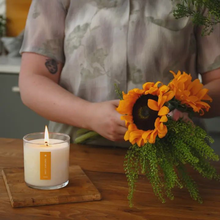 Sweet Sunflower Plant The Box Candle 9oz