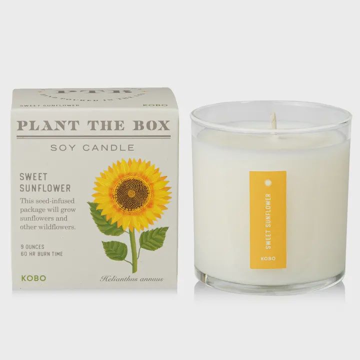 Sweet Sunflower Plant The Box Candle 9oz