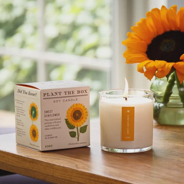 Sweet Sunflower Plant The Box Candle 9oz