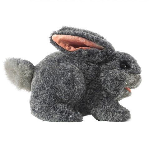 Gray Bunny Rabbit