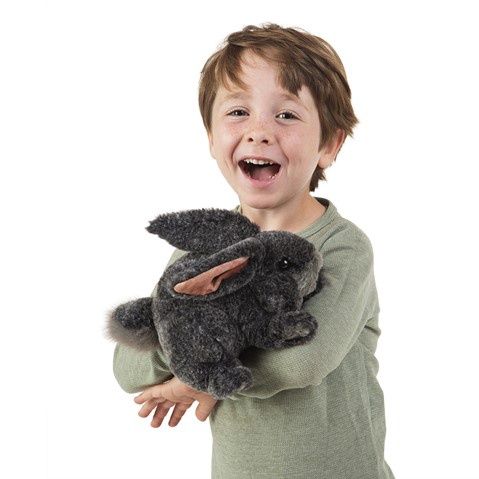 Gray Bunny Rabbit