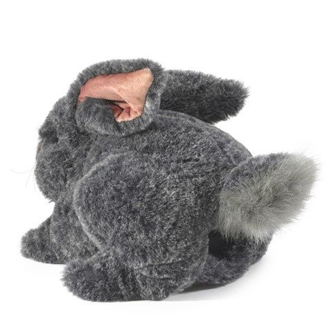 Gray Bunny Rabbit