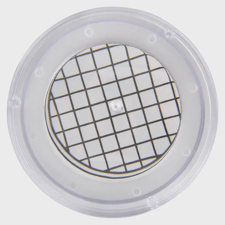 Magnifying Bug Viewer