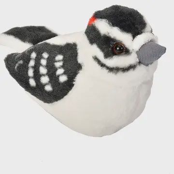 Audubon II Downy Woodpecker