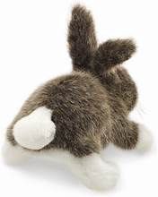 Mini Cottontail Rabbit