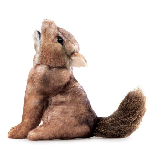 Mini Coyote