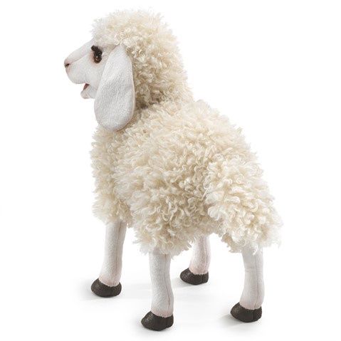 Woolly Sheep