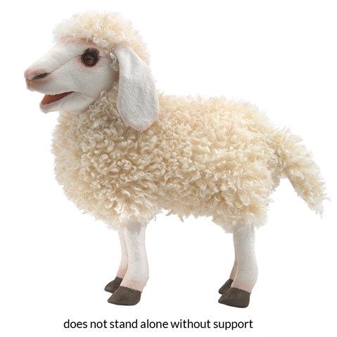 Woolly Sheep