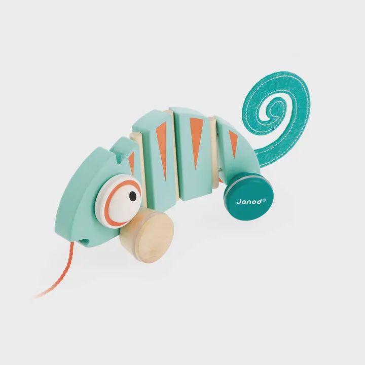 Pull Along Chameleon